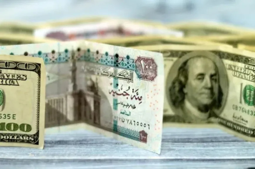 سعر الدولار