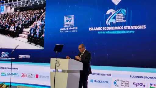 دكتور محمود محيي الدين: التمويل...