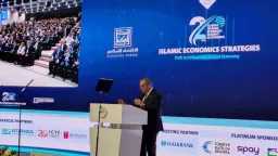 دكتور محمود محيي الدين: التمويل...