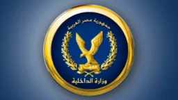 تحقيقات وتقارير