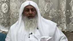 الأخبار