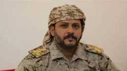 تحقيقات وتقارير