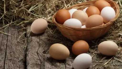 هبوط مفاجئ في سعر البيض...