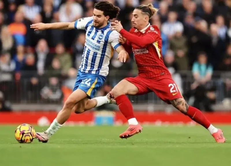 مباراة ليفربول وبرايتون