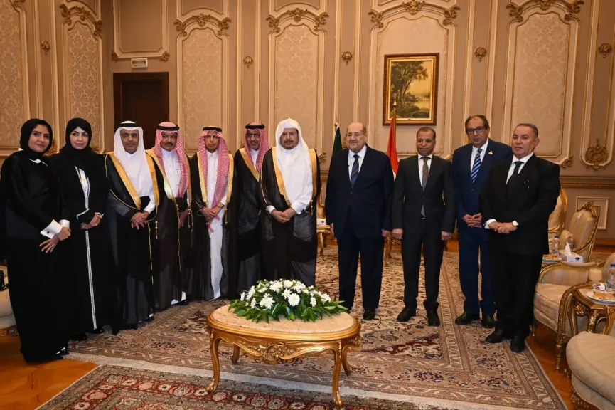 مجلس الشيوخ