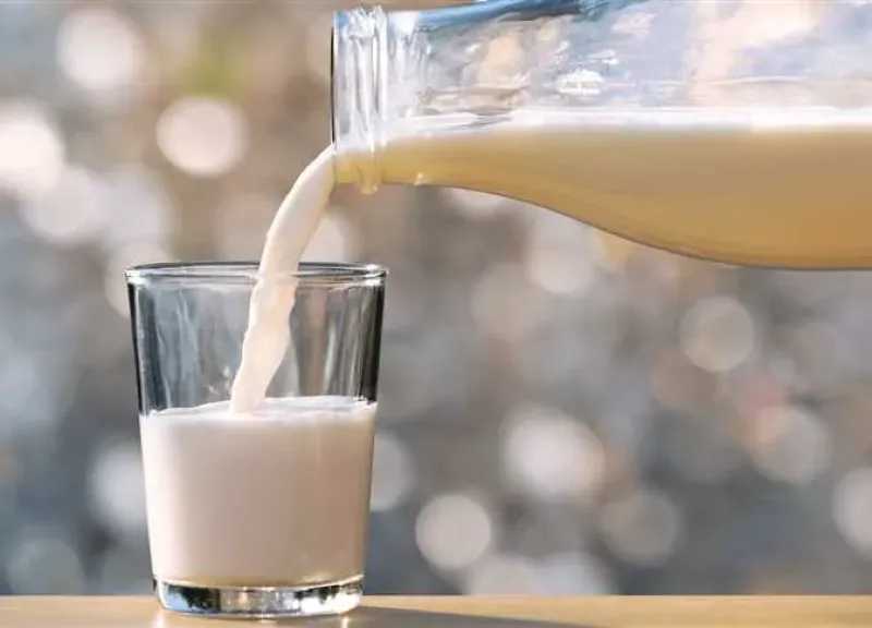 قبل الامتحانات.. الحليب بالعسل الأسود ولا الأبيض؟