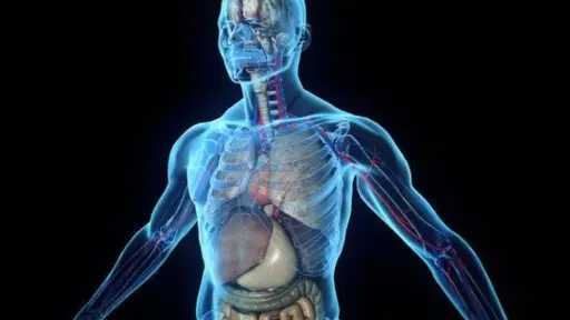 قناة ”Wellness Wise” تنشر فيديو...