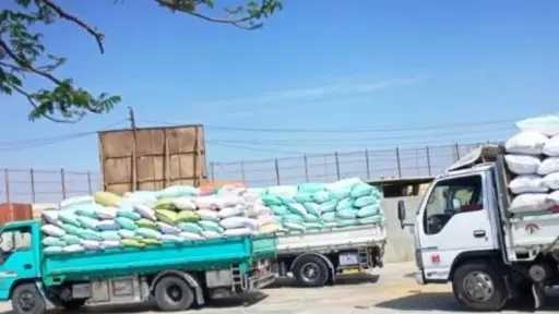 الشرقية تتصدر المشهد في توريد...