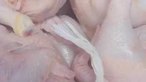 قبل عيد الأضحى ... ضبط...