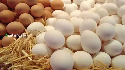 تراجع طفيف في أسعار كرتونة...
