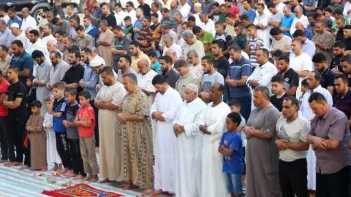 الأخبار