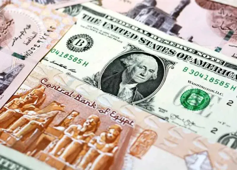سعر الدولار