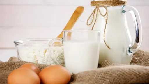 تراجع أسعار البيض ومنتجات الألبان...