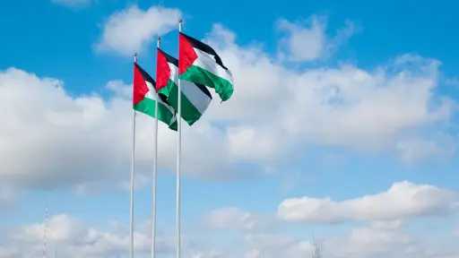 علم فلسطين يرتفع في منظمة...
