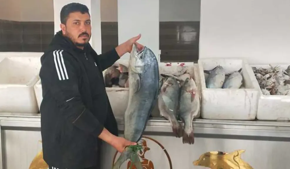 السمك البوري بكام؟ استقرار أسعار الأسماك اليوم في مطروح الأربعاء 28 مايو