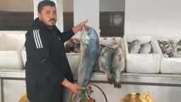 الاقتصاد