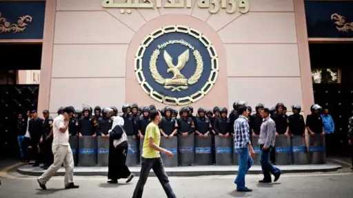 45 دولة أفريقية في مصر:...
