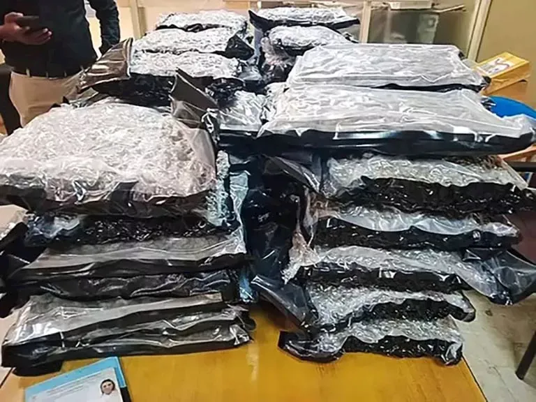 قضية تهريب مخدرات في سريلانكا
