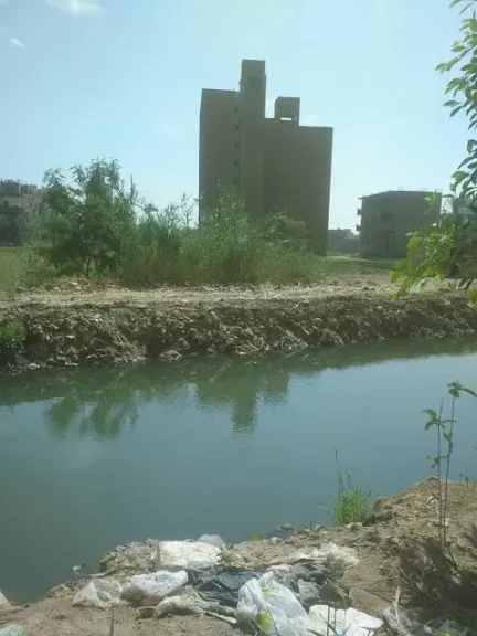 الحكم 10 سنوات على قاتل لزميله ورميه في مجرى مائي الإسكندرية