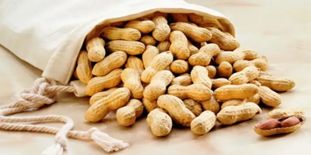 الفول السوداني بين فوائده الصحية ومخاطره الهضمية - تنبيه من خبيرة تغذية