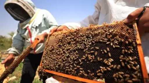 اكتشاف جديد لا تعترف به...