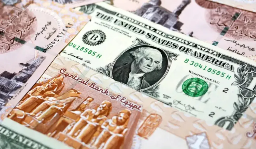 سعر الدولار