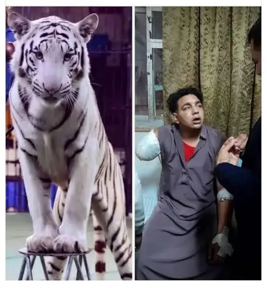 محمد البسطويسي عامل سيرك طنطا