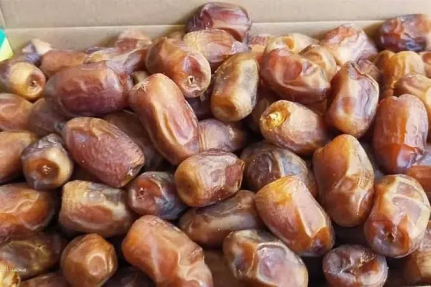 أسعار البلح السيوي