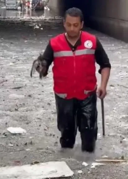 انقاذ عصفور
