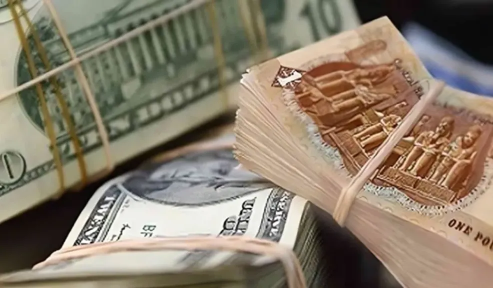 فوق الـ49 جنيه.. سعر الدولار أمام الجنيه المصري اليوم الأحد 1 يونيو 2025