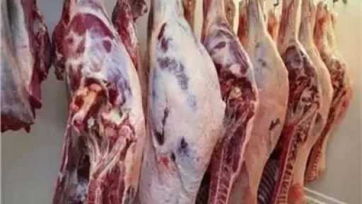 الأخبار
