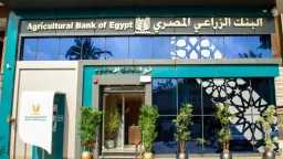 الاقتصاد