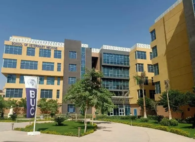 جامعة بدر بالقاهرة