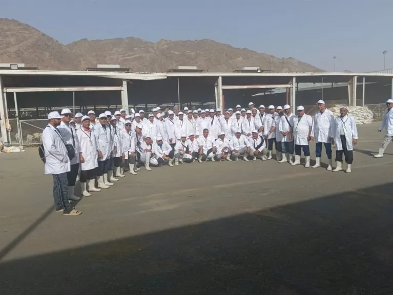 الأطباء البيطريين في المملكة