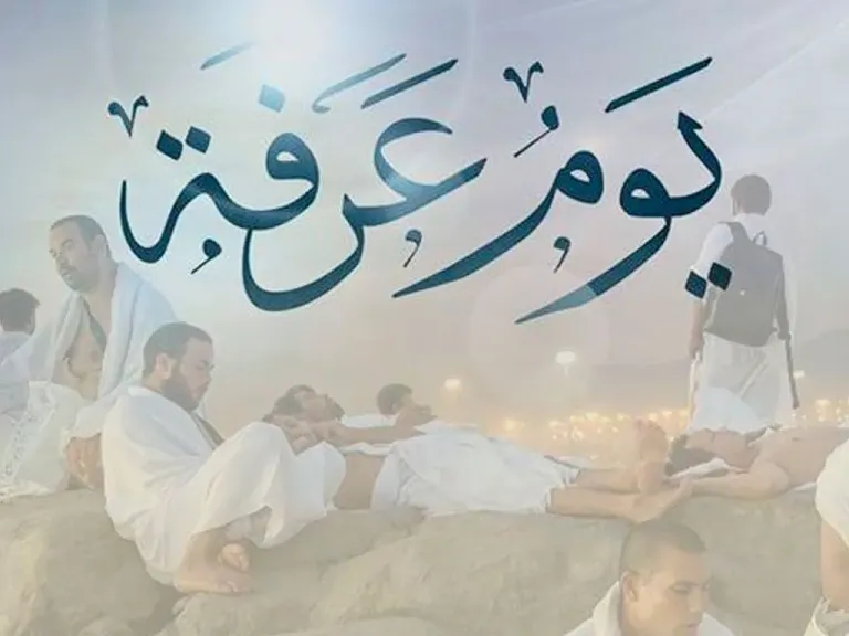 فضل يوم عرفة