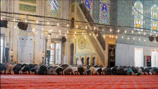 الأخبار