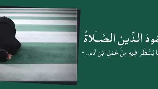 محافظات