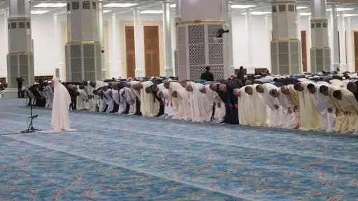 أخبار عربية