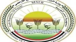 الأخبار