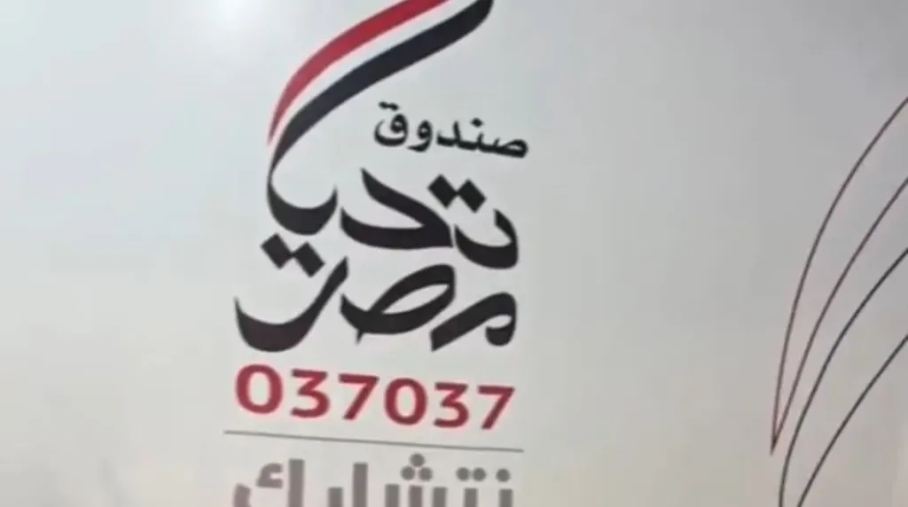 صندوق تحيا مصر