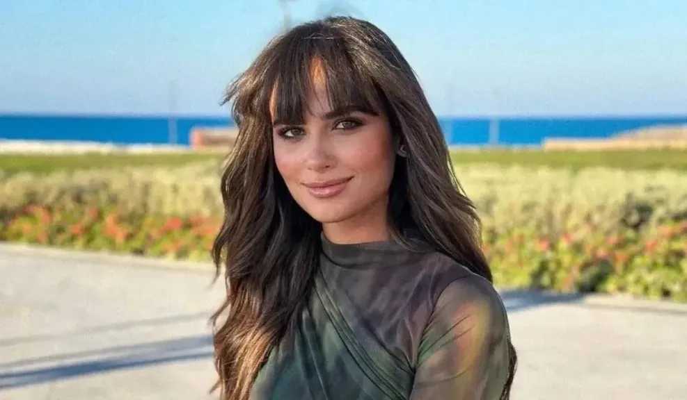 من هي نانسي نور زوجة تامر عاشور؟ قصة حب وتأثير في حياته الفنية