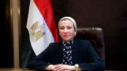 الأخبار