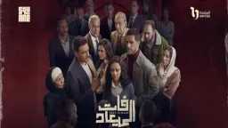 ميديا وتوك شو