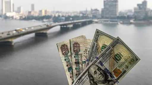 الأخضر يتراجع اليوم الثلاثاء 17...