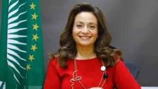 الأخبار