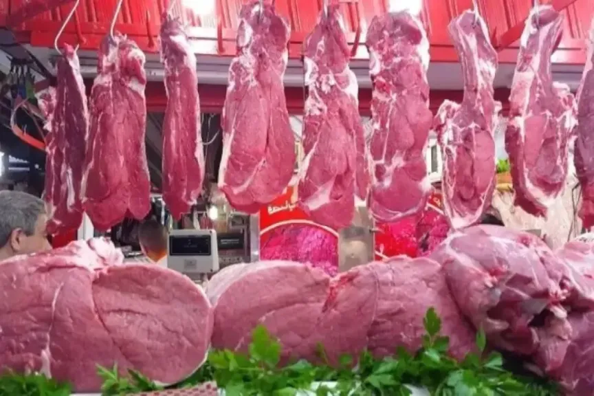 آخر تحديث الآن.. سعر اللحوم في السوق المصري اليوم السبت 21 يونيو 2025