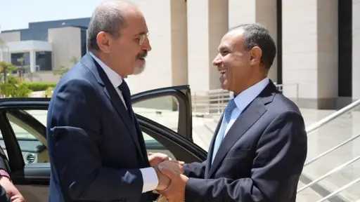 وزير الخارجية المصري يلتقي بنظيره...