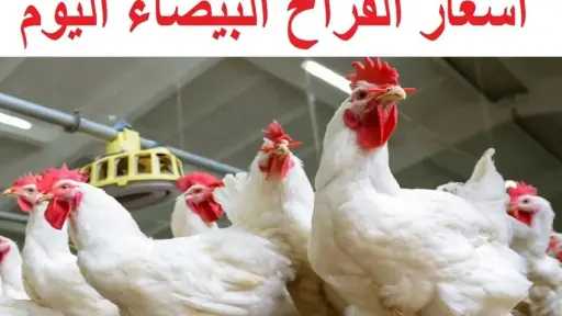 تحركات مفاجئة في السوق المصري.....