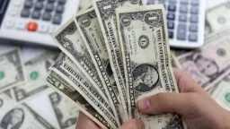 تعاملات اليوم .. سعر الدولار...