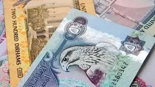 تعاملات اليوم.. استقرار سعر الدرهم...